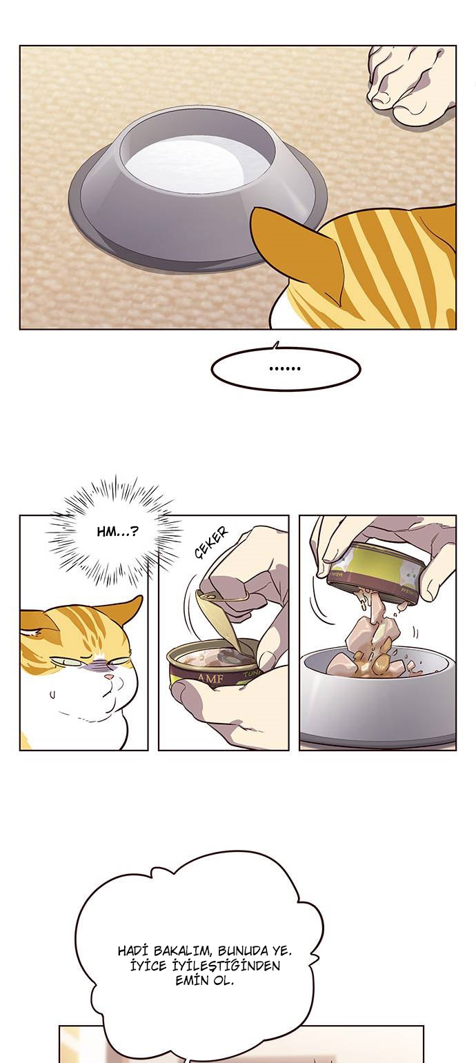 Read Eleceed TR Manga Online