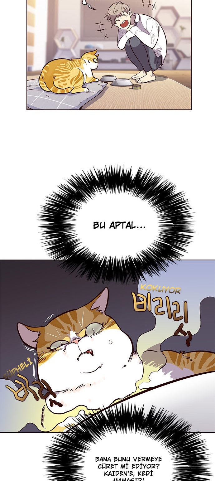 Read Eleceed TR Manga Online