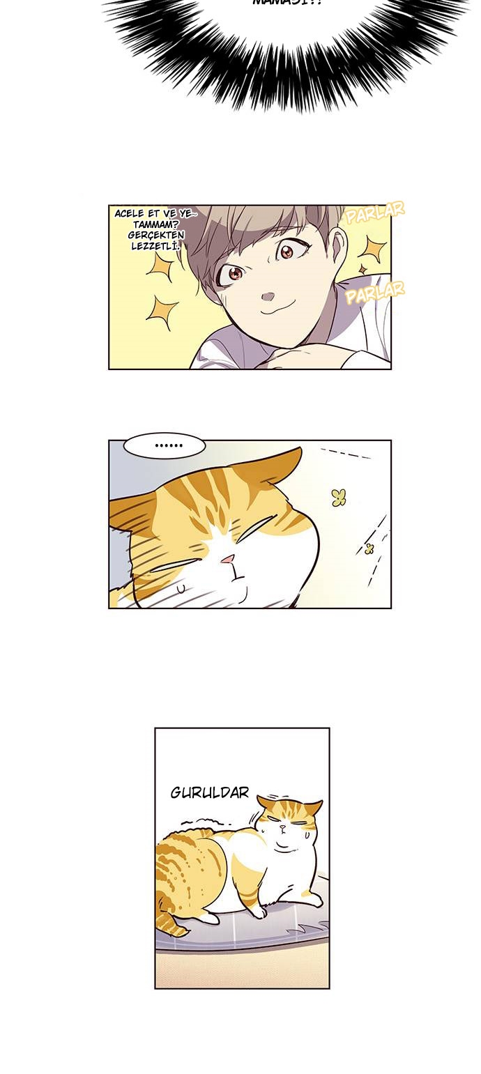 Read Eleceed TR Manga Online