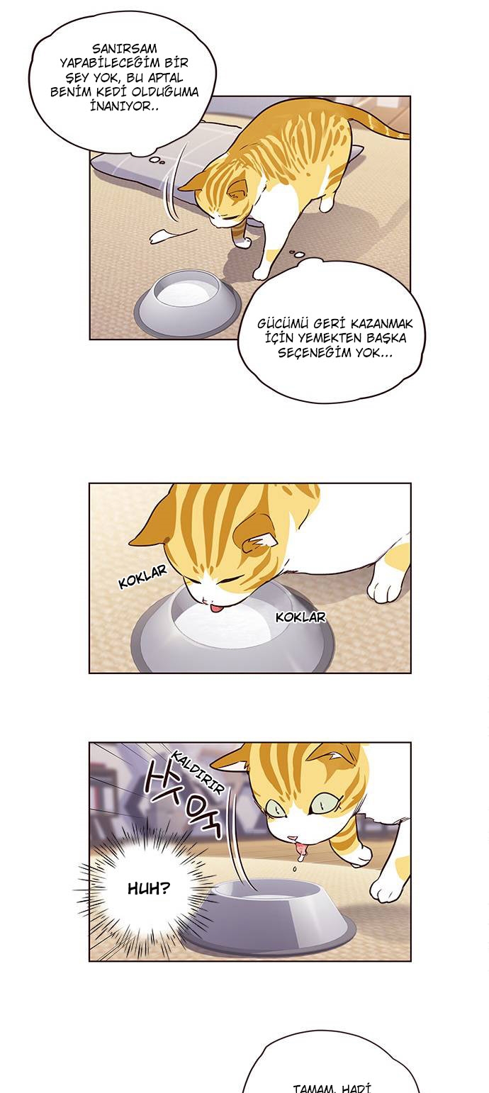 Read Eleceed TR Manga Online