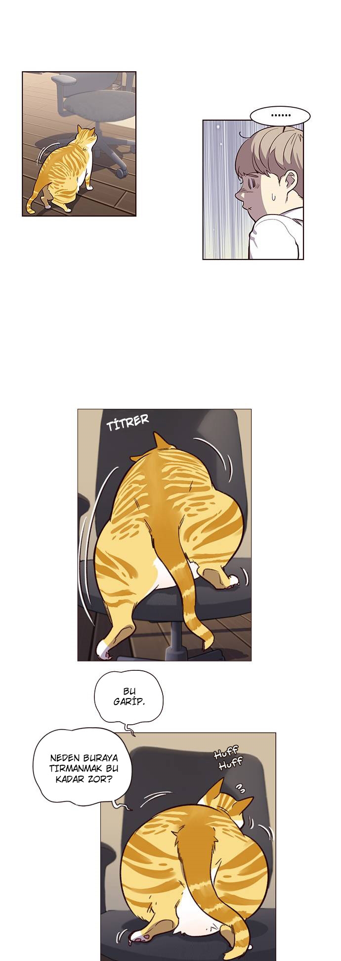 Read Eleceed TR Manga Online
