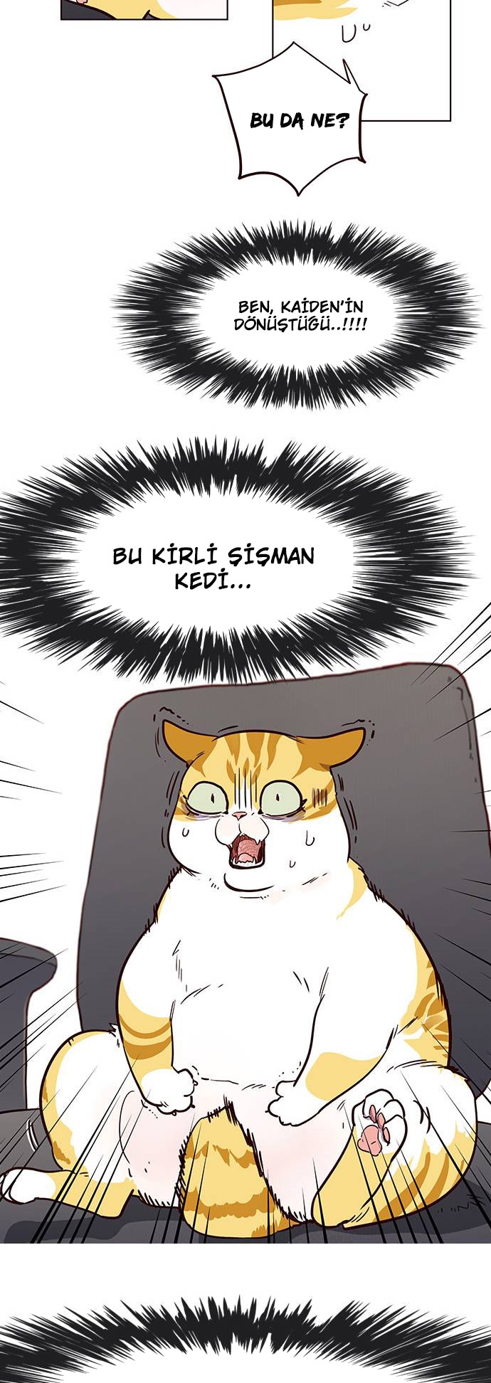 Read Eleceed TR Manga Online