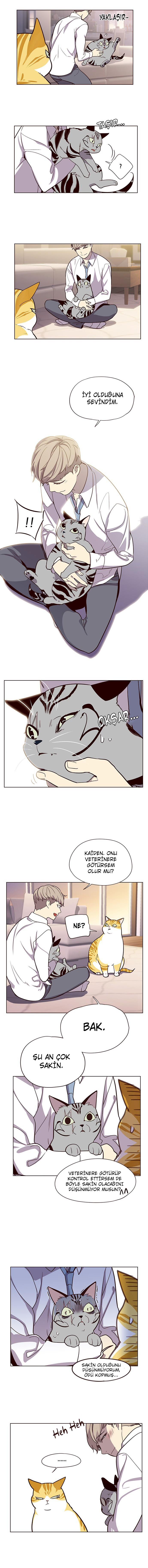 Read Eleceed TR Manga Online