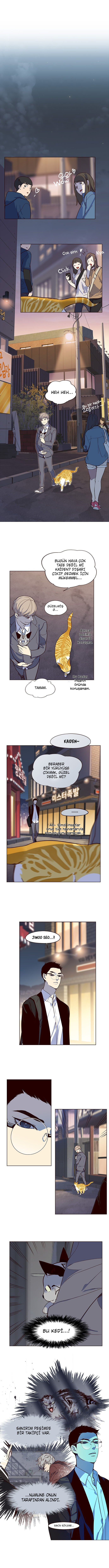 Read Eleceed TR Manga Online