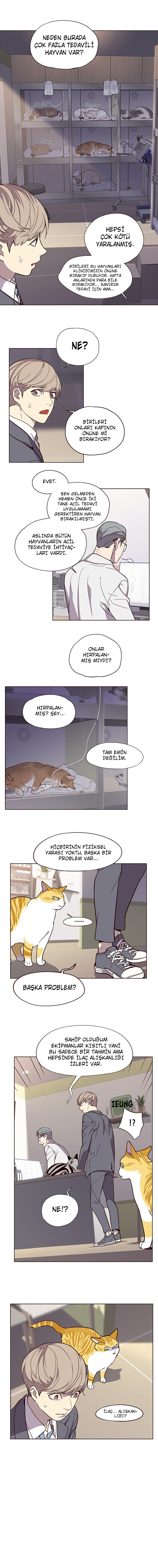 Read Eleceed TR Manga Online