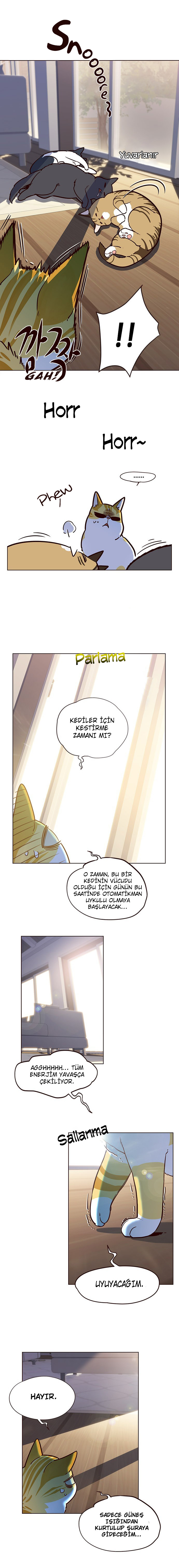 Read Eleceed TR Manga Online