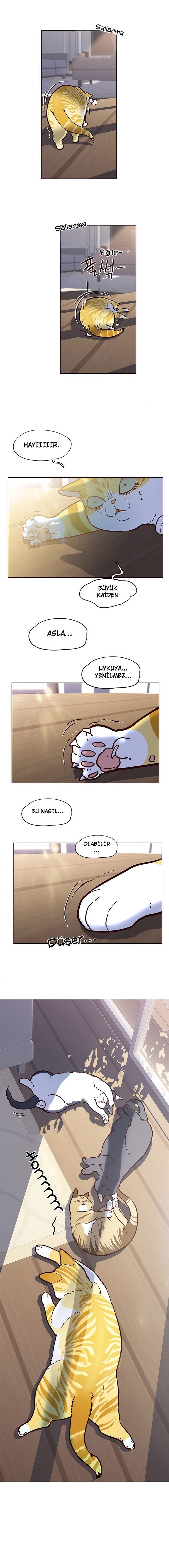 Read Eleceed TR Manga Online