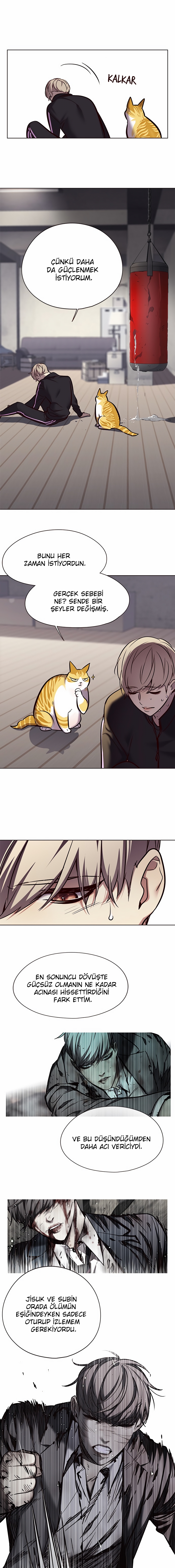 Read Eleceed TR Manga Online