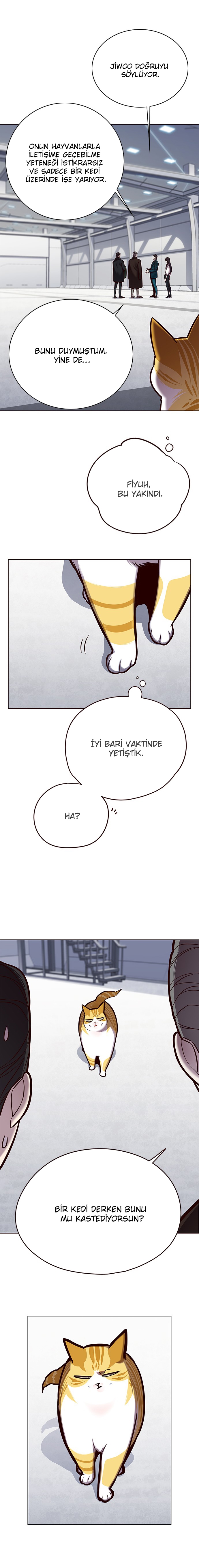 Read Eleceed TR Manga Online