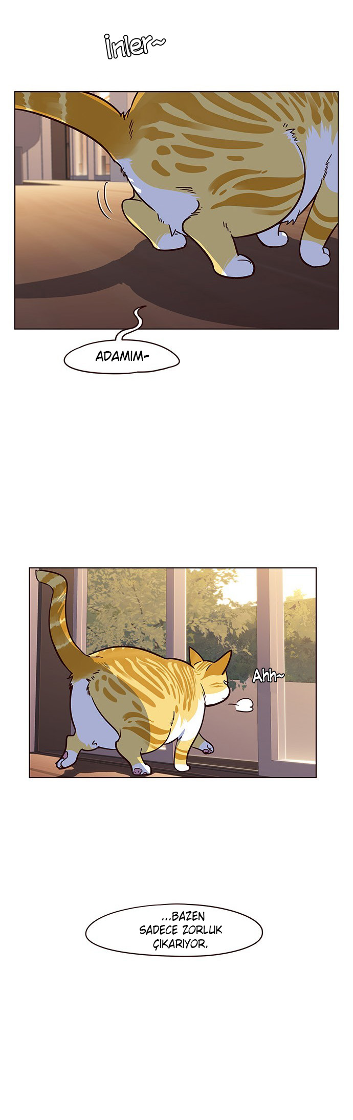 Read Eleceed TR Manga Online