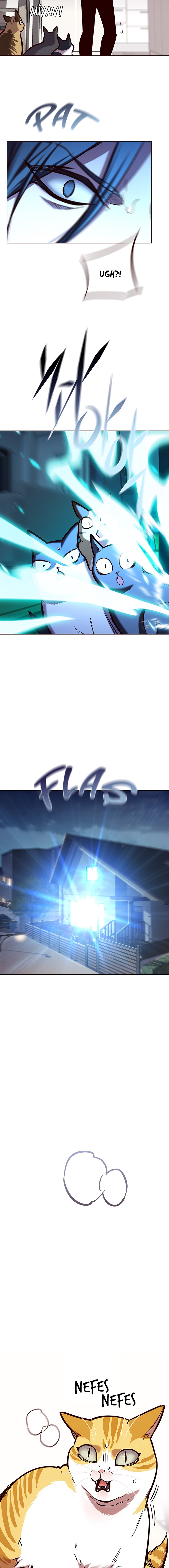Read Eleceed TR Manga Online