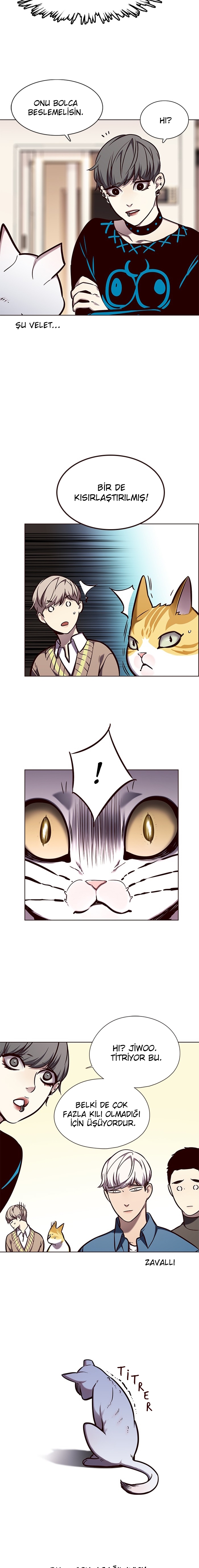 Read Eleceed TR Manga Online
