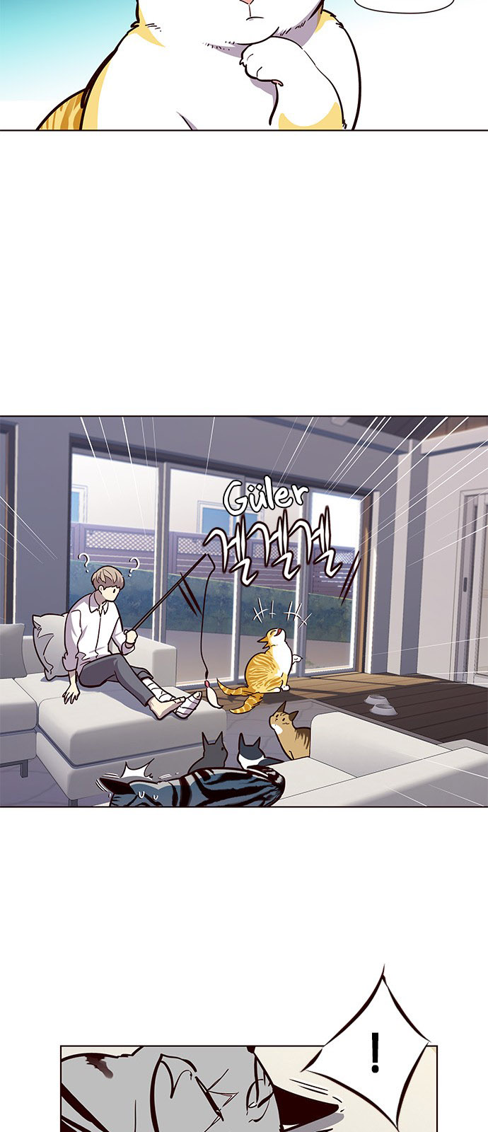 Read Eleceed TR Manga Online