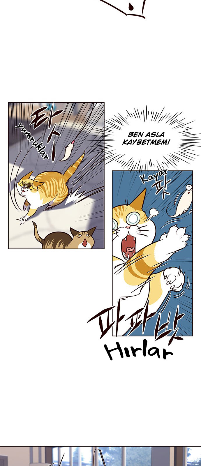 Read Eleceed TR Manga Online