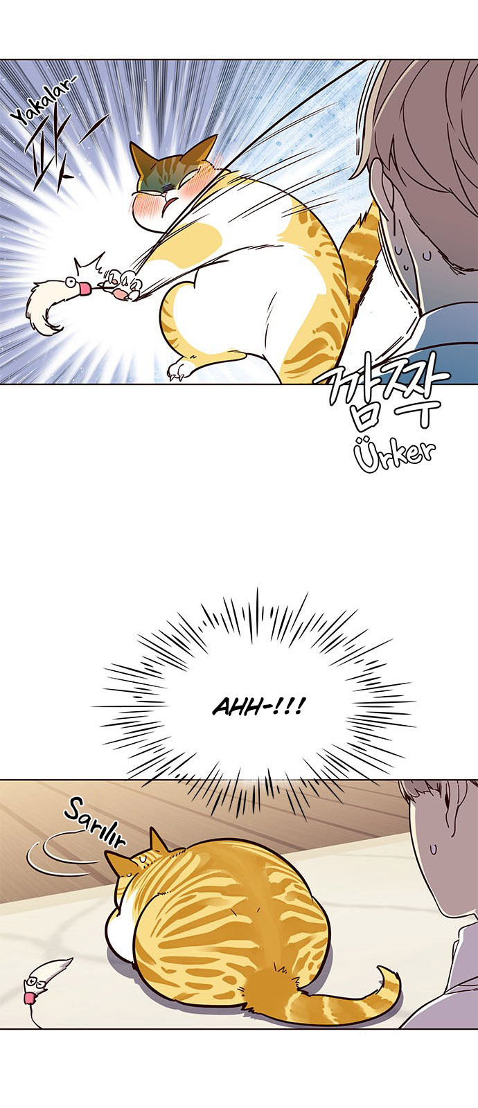 Read Eleceed TR Manga Online
