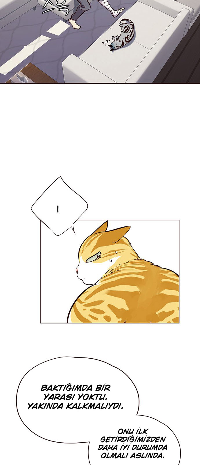 Read Eleceed TR Manga Online