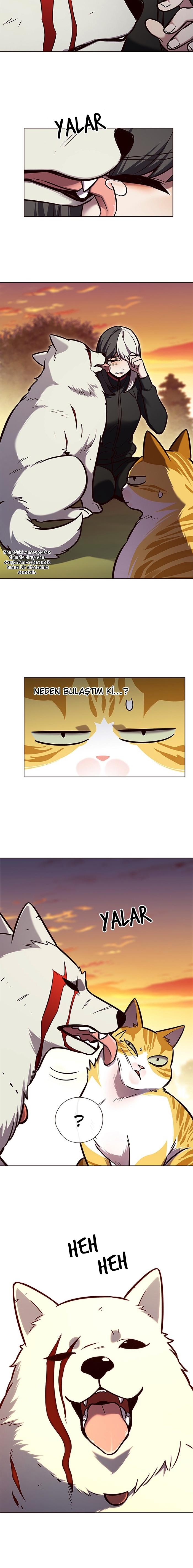 Read Eleceed TR Manga Online
