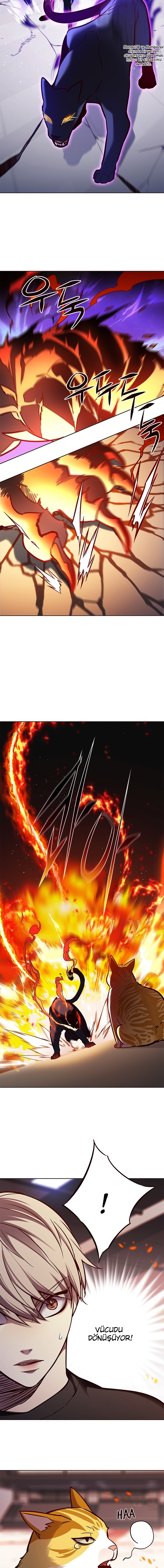 Read Eleceed TR Manga Online