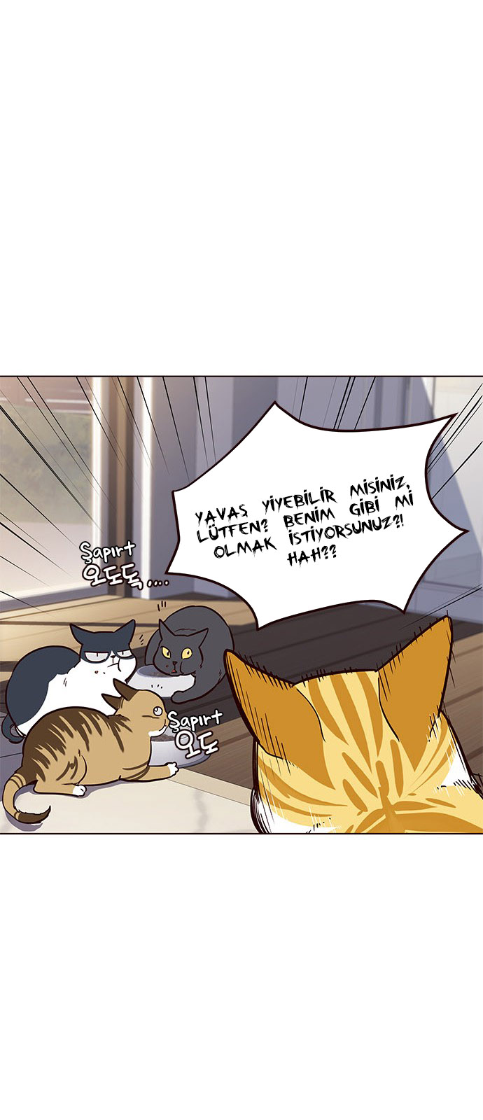Read Eleceed TR Manga Online