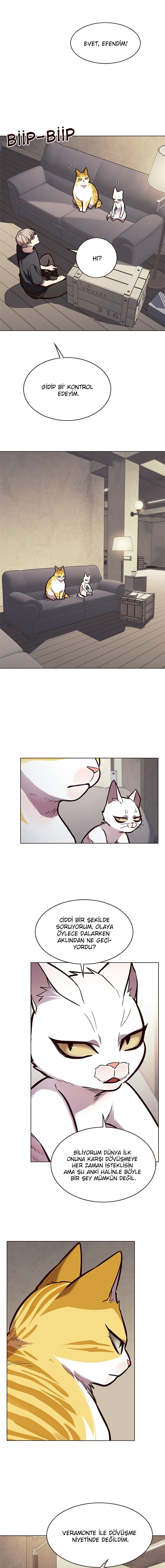 Read Eleceed TR Manga Online