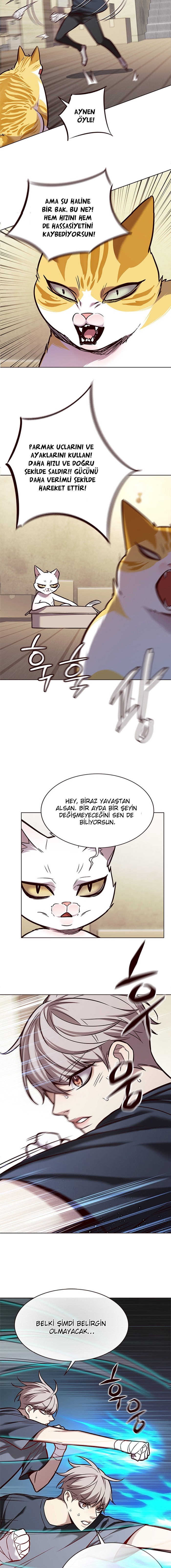Read Eleceed TR Manga Online