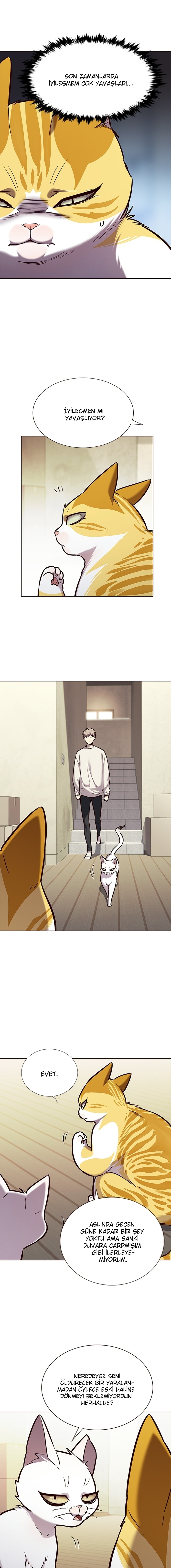 Read Eleceed TR Manga Online