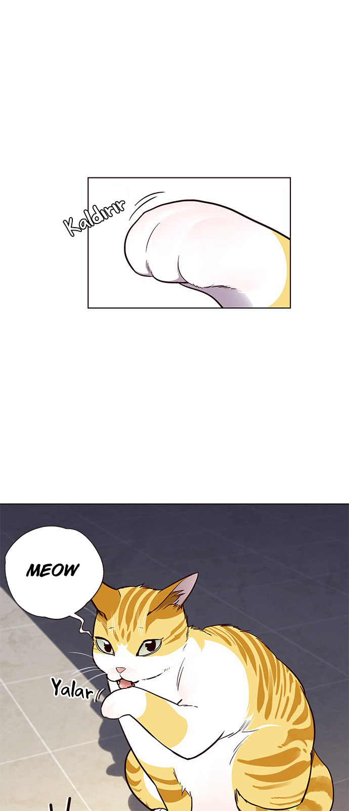 Read Eleceed TR Manga Online