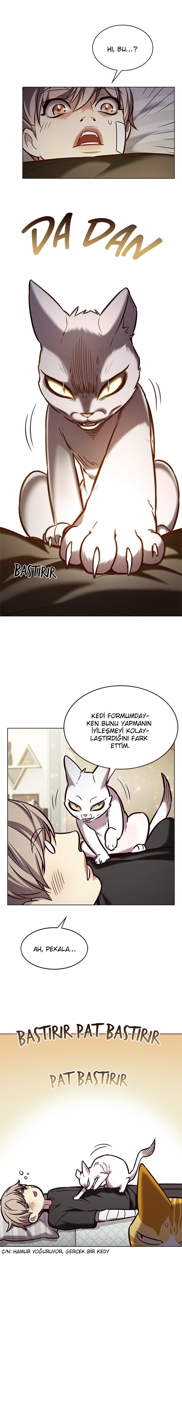 Read Eleceed TR Manga Online