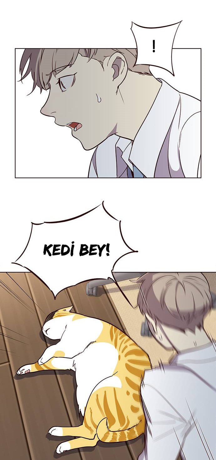 Read Eleceed TR Manga Online