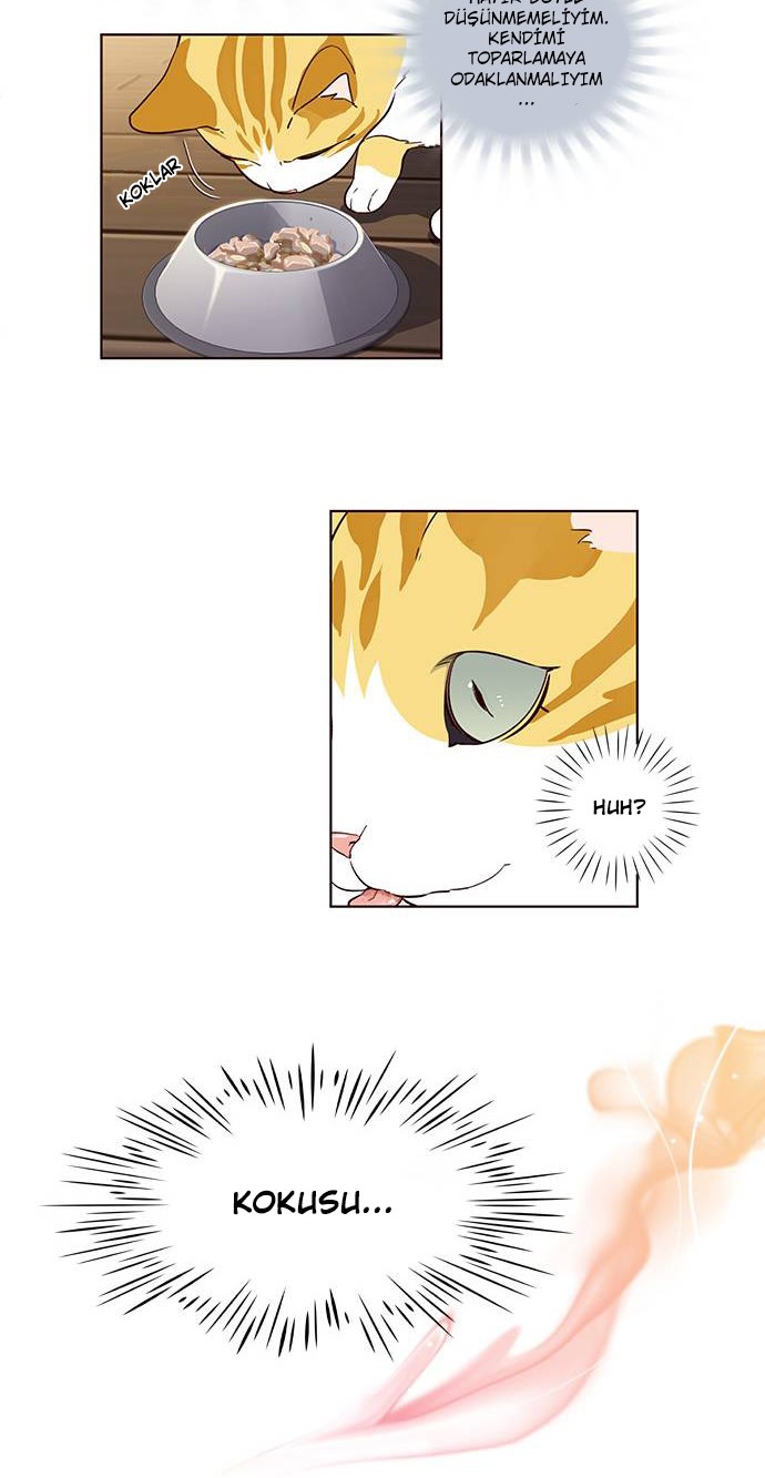 Read Eleceed TR Manga Online