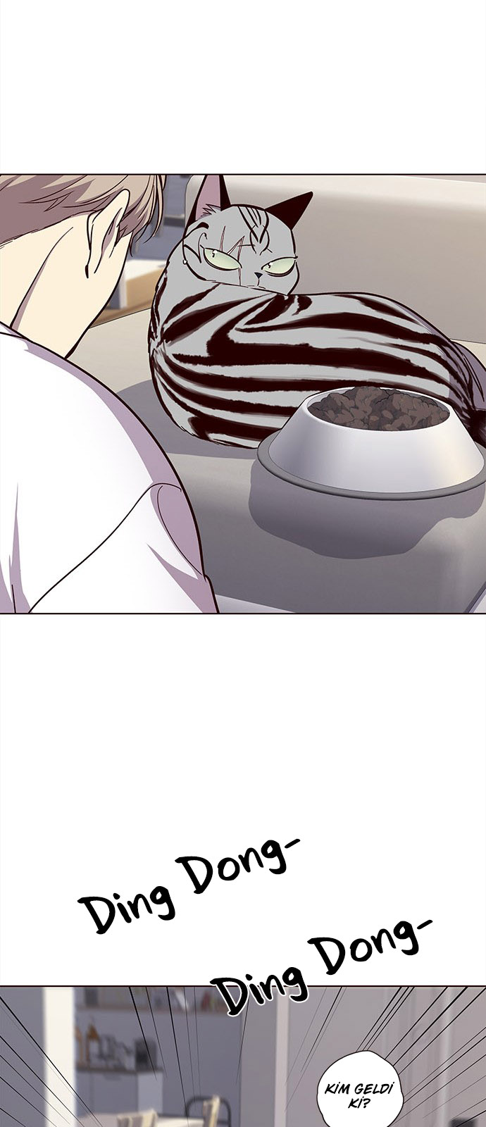 Read Eleceed TR Manga Online