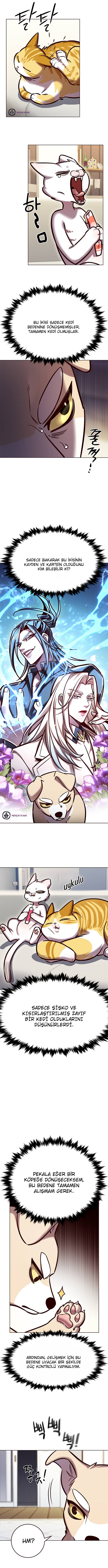 Read Eleceed TR Manga Online