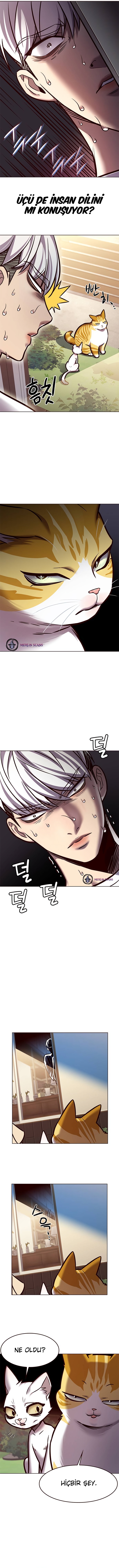 Read Eleceed TR Manga Online