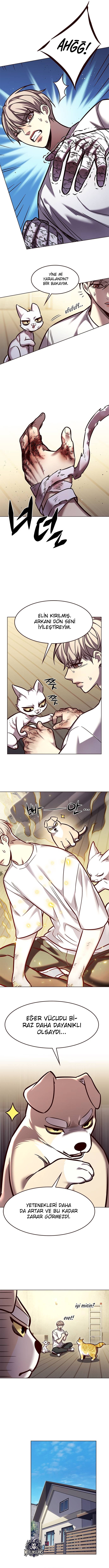 Read Eleceed TR Manga Online