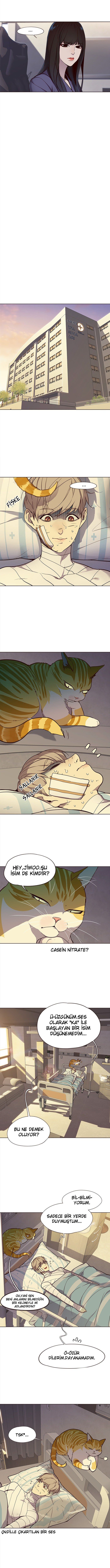 Read Eleceed TR Manga Online