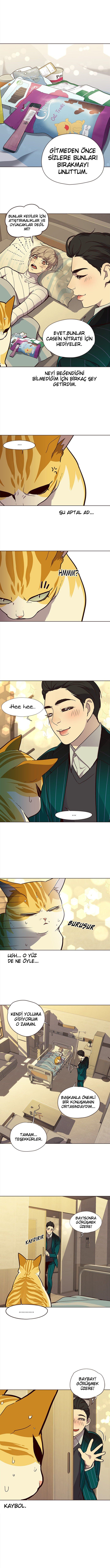 Read Eleceed TR Manga Online