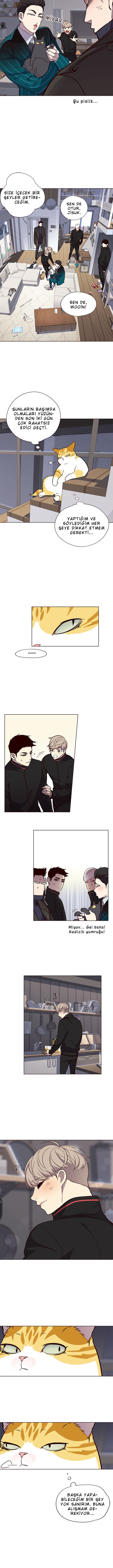 Read Eleceed TR Manga Online