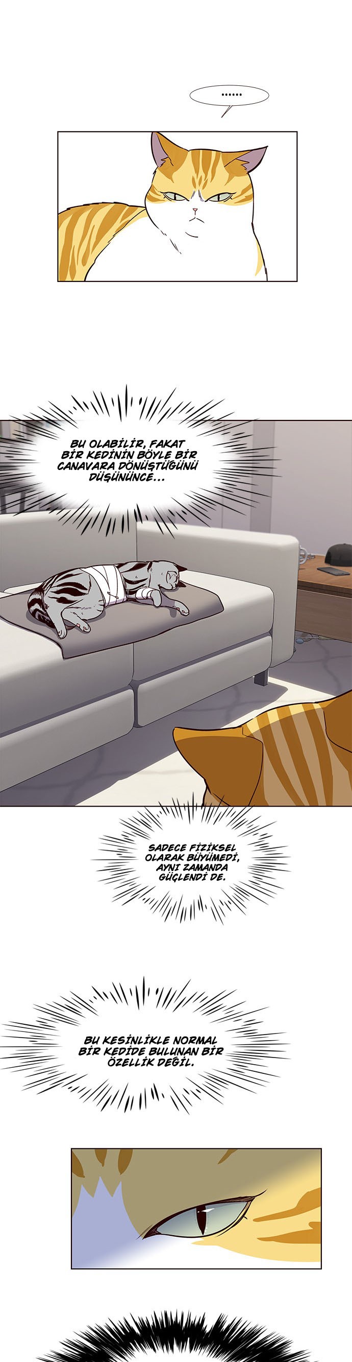 Read Eleceed TR Manga Online
