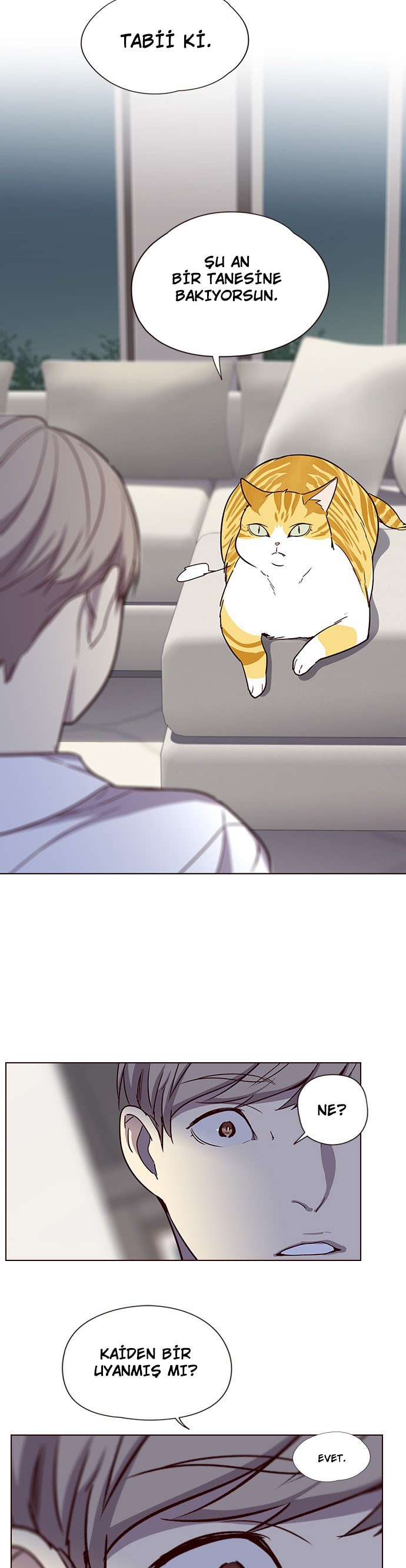 Read Eleceed TR Manga Online