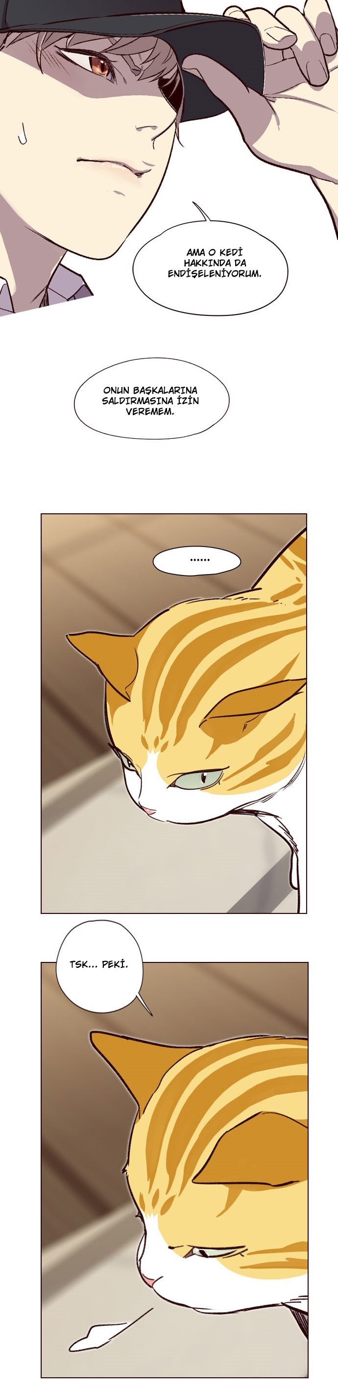 Read Eleceed TR Manga Online