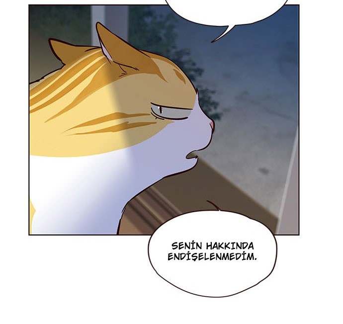 Read Eleceed TR Manga Online