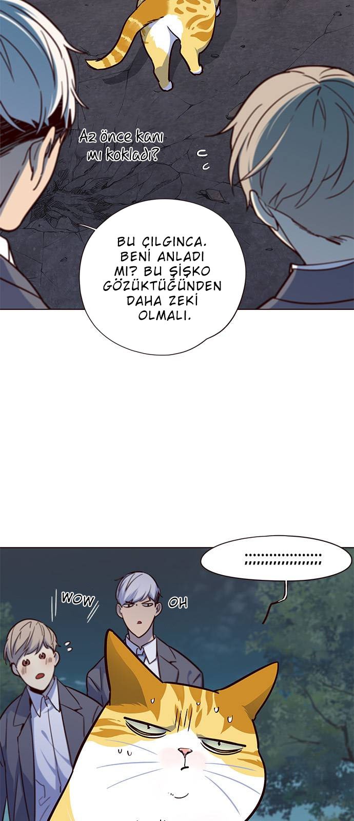 Read Eleceed TR Manga Online