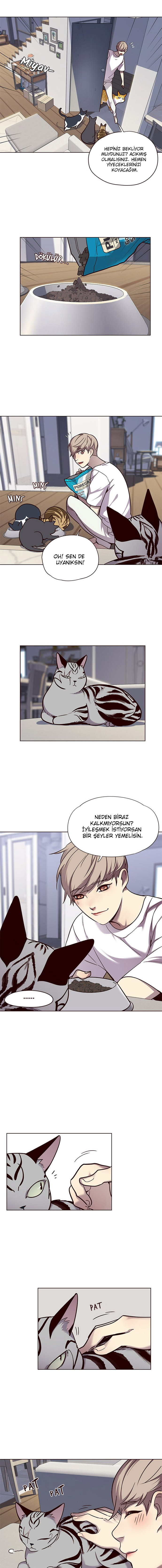 Read Eleceed TR Manga Online
