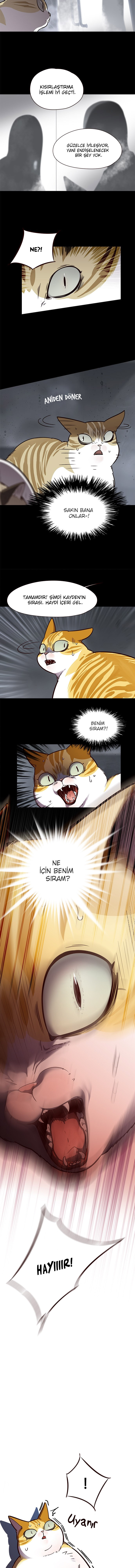 Read Eleceed TR Manga Online