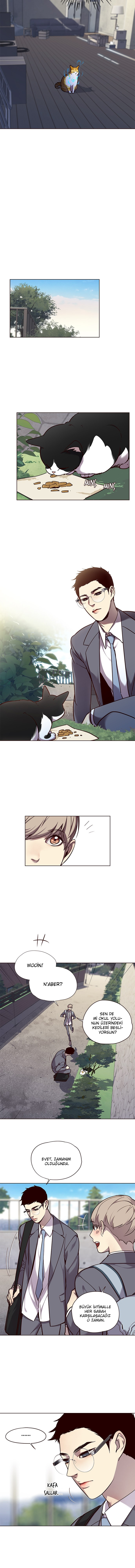 Read Eleceed TR Manga Online