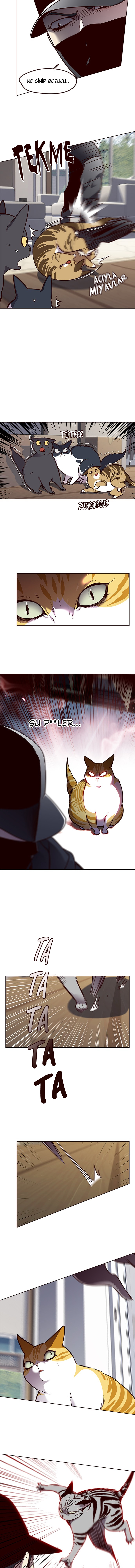 Read Eleceed TR Manga Online
