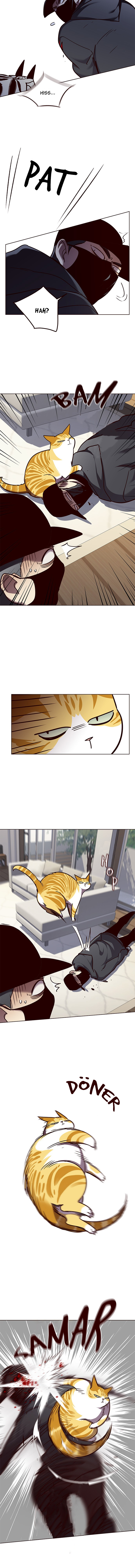 Read Eleceed TR Manga Online