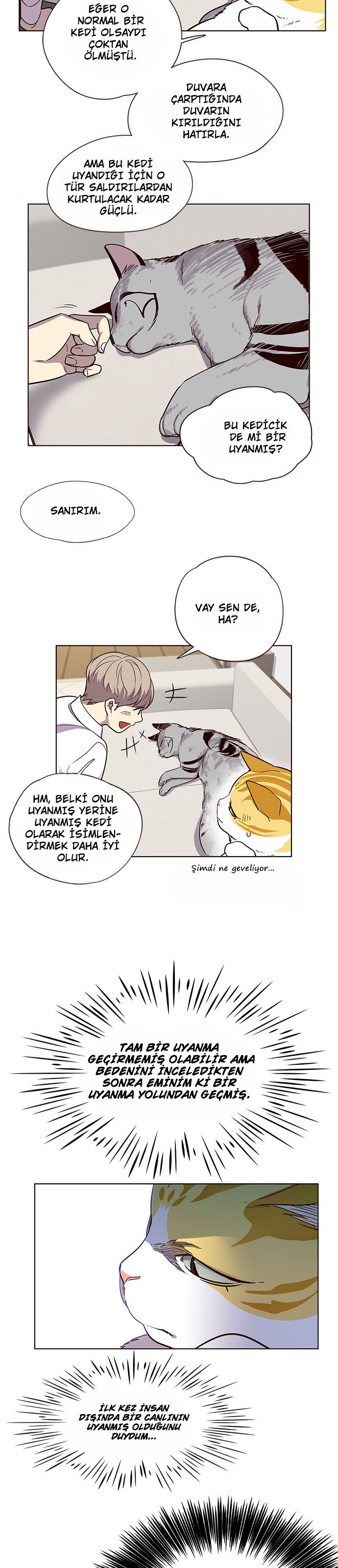 Read Eleceed TR Manga Online