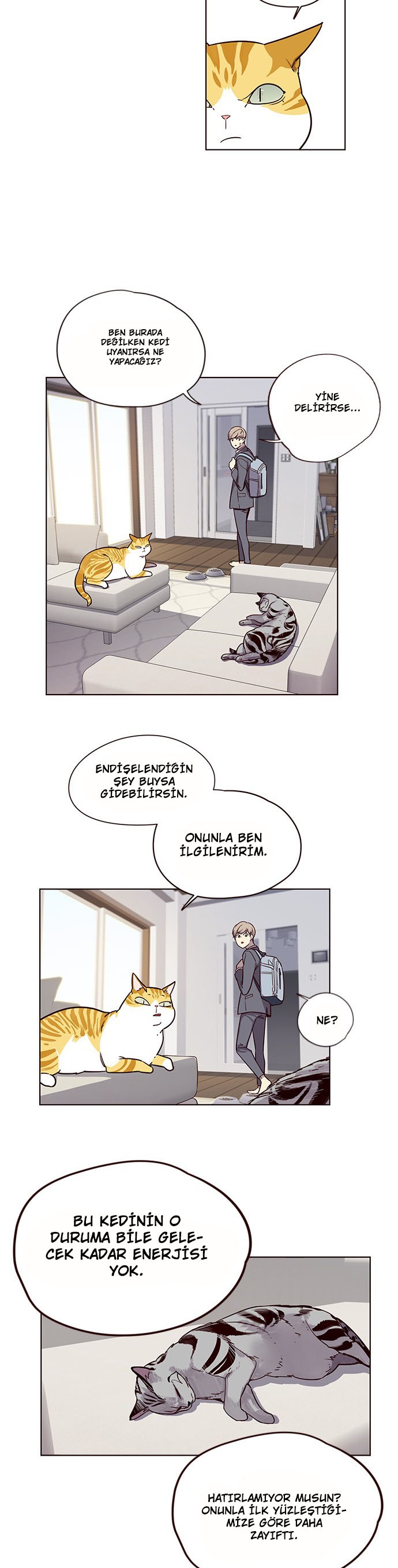Read Eleceed TR Manga Online