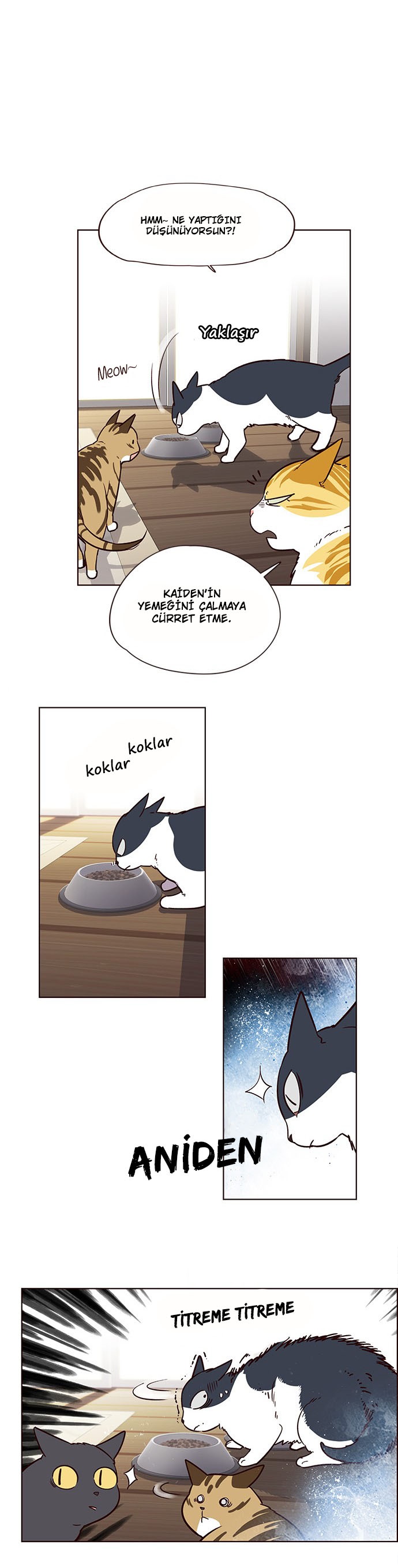 Read Eleceed TR Manga Online